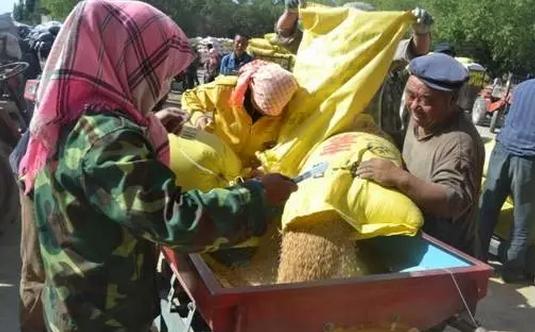 都是套路！農民賣糧竟然還有這些“貓膩”