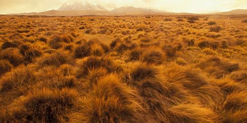 假如農民不種地了，農村將會出現八大巨變