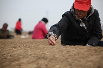 農(nóng)村土地流轉流程（全）