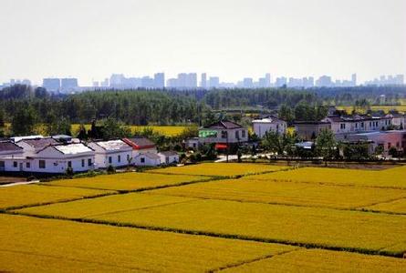 注意！這些農民的宅基地不能夠進行確權！有你嗎？