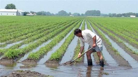 預測未來十年中國農村的3大出路，你們村會走哪條？