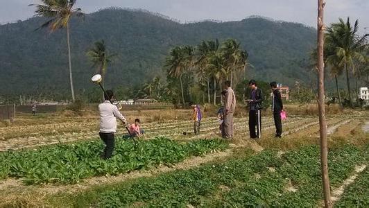 四個原因讓國家積極推進農村土地確權，你不可不知！
