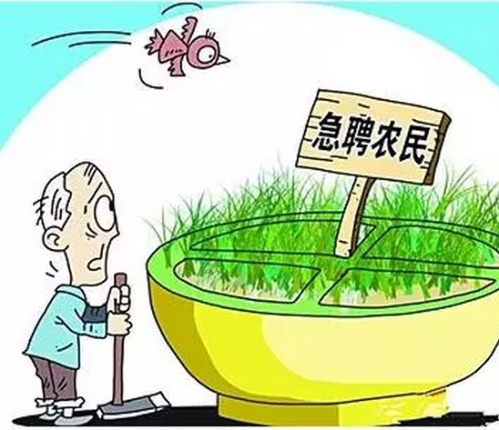 農業部回應：種植大戶頻頻跑路，背后有隱情