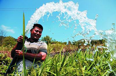 大學畢業回家搞農業，到底是創業還是跳坑
