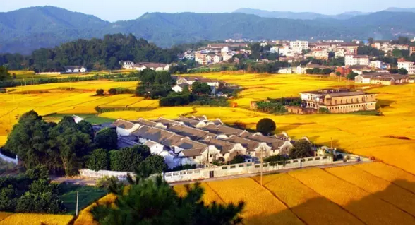 農村的10大變化！有些人注定會被“淘汰”！