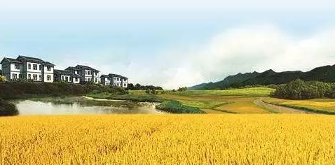 專家解讀|政府工作報告部署“三農”五大新亮點