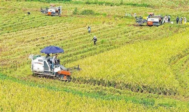 微信圖片_20171025093744 1.jpg