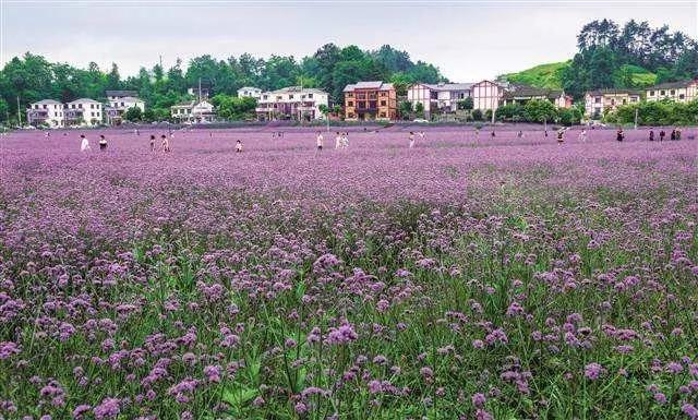 微信圖片_20171025093815 5.jpg