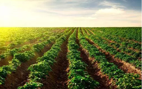 QQ圖片20171023094604 11.png