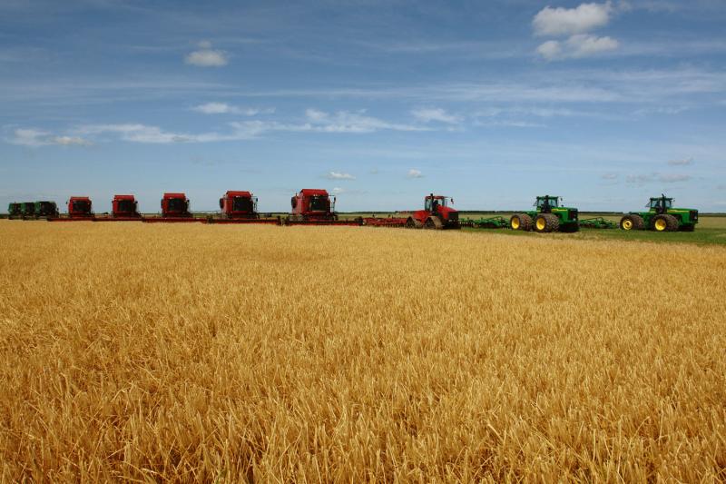 中國未來農(nóng)業(yè)發(fā)展趨勢如何？農(nóng)民是否有“出路”？