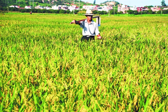 中國未來農(nóng)業(yè)發(fā)展趨勢如何？農(nóng)民是否有“出路”？