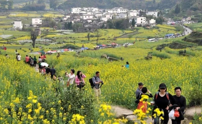 農(nóng)村暴富的機(jī)會(huì)來(lái)了！國(guó)家支持鄉(xiāng)村旅游大發(fā)展，未來(lái)必將井噴