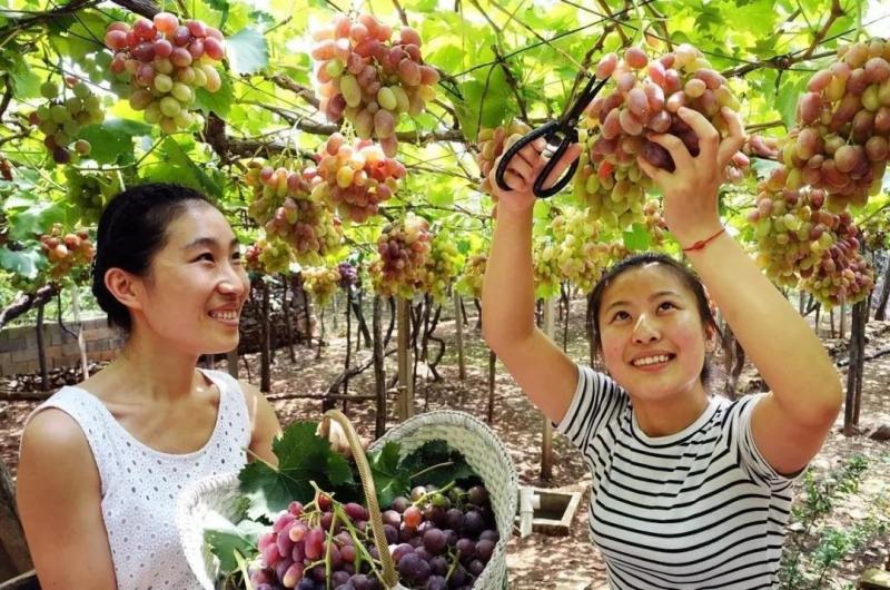 農(nóng)村暴富的機(jī)會(huì)來(lái)了！國(guó)家支持鄉(xiāng)村旅游大發(fā)展，未來(lái)必將井噴