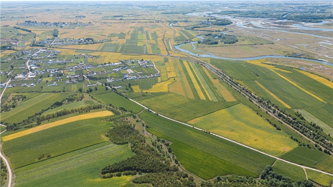 本來生活“鄉村振興4.0”：創新五方聯動模式，因地制宜踐行產業賦能