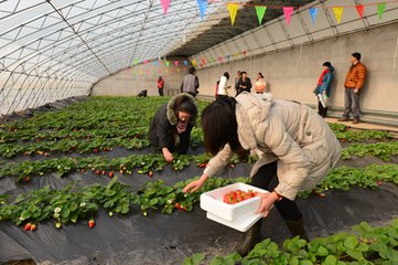干休閑農業：8大趨勢、5大玩法、4大問題（不懂這些，必敗無疑）