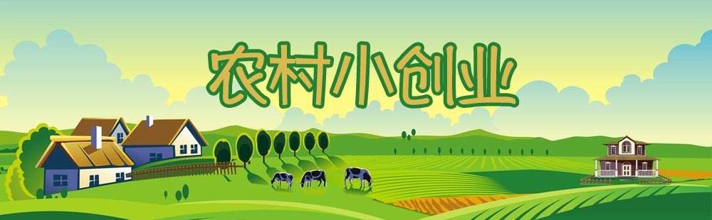 農村創業：9個成功案例、4個失敗案例（都能找到自己的影子）