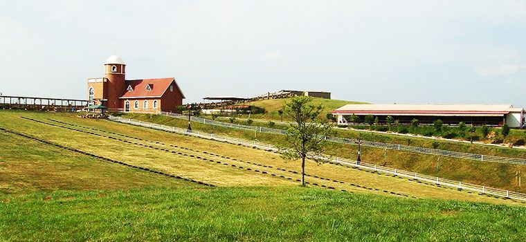 大揭秘！休閑觀光牧場：8大案例、5大模式