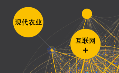 “互聯網+現代農業”到底要加什么？