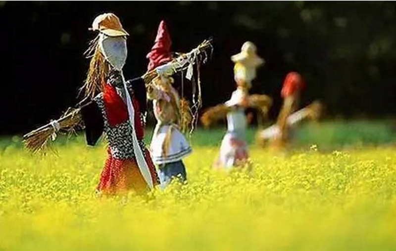 都說臺灣休閑農業做得好，精髓無非就是這10個！