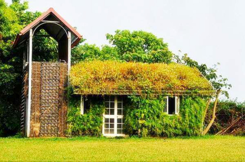 三農(nóng)日?qǐng)?bào)|化敵為友阿里戰(zhàn)略投資趕街網(wǎng)；休閑農(nóng)業(yè)現(xiàn)5大盈利商機(jī)