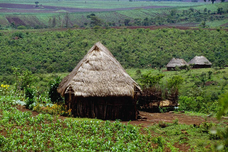 敲黑板！五大基本原則教你做別具一格的生態(tài)旅游農(nóng)莊