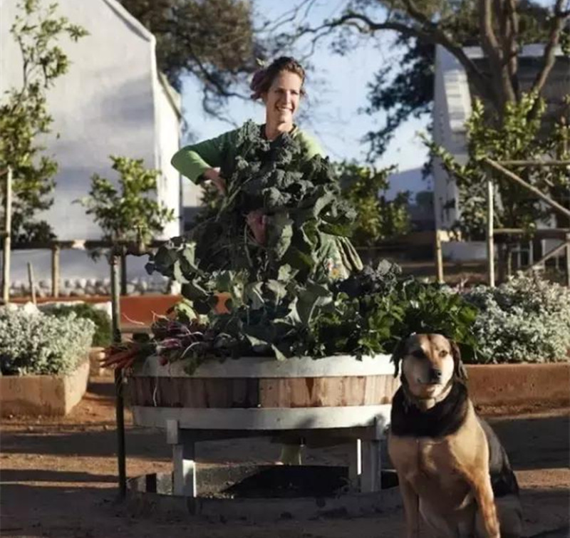 休閑農(nóng)業(yè)，快速贏利的6大秘訣！