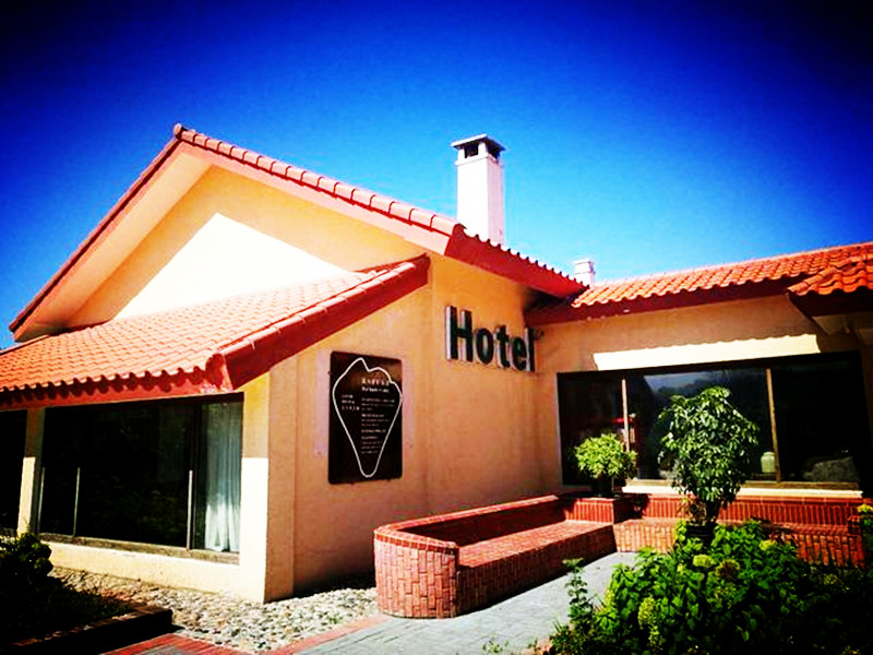 200畝，4000萬，她用20年時(shí)間證明了休閑農(nóng)業(yè)的可能