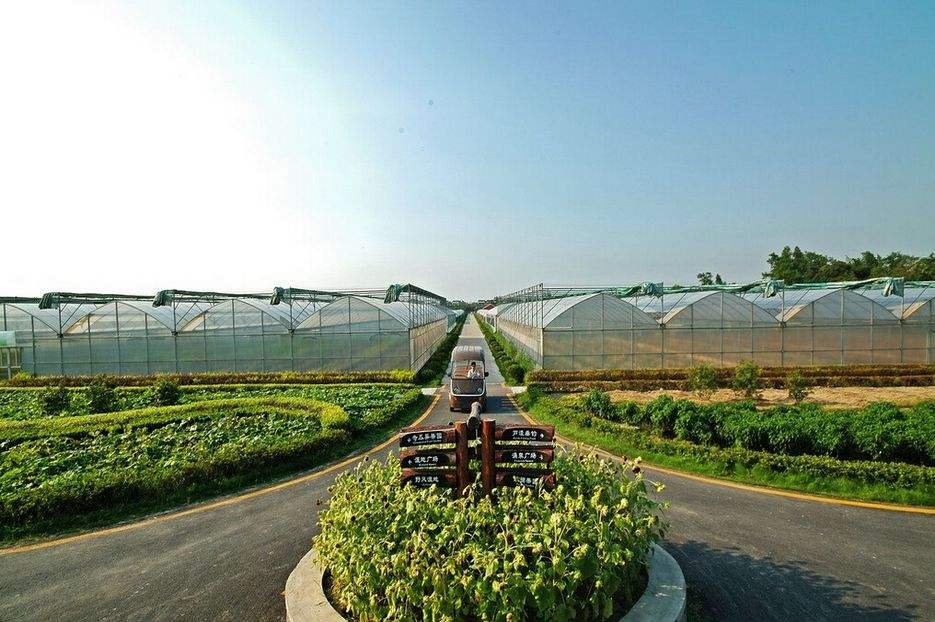 經驗談|寶媽傾訴種植業如何轉型(案例分享)