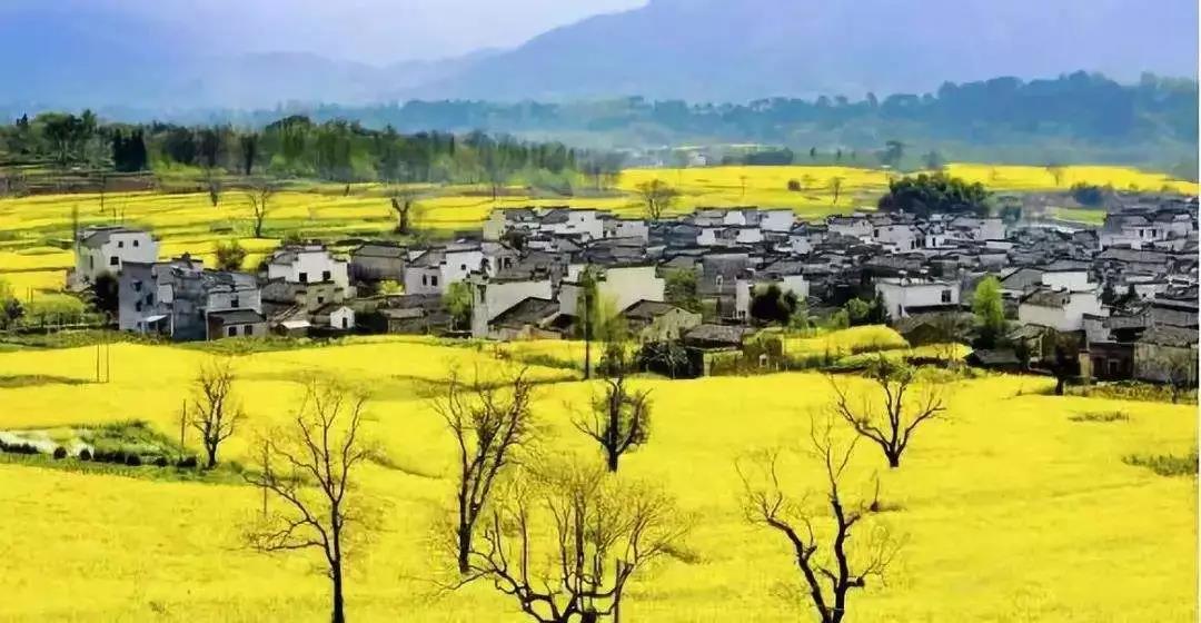 深度解析!田園東方、美麗南方、多利農(nóng)莊靠什么賺錢(qián)