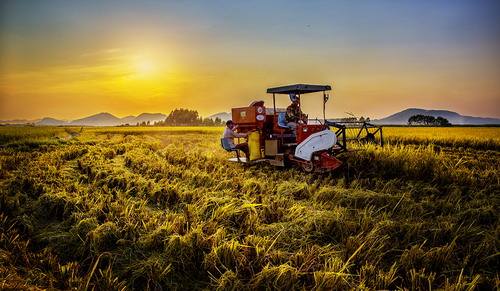 三農(nóng)日?qǐng)?bào)|京東新玩法：快閃店+農(nóng)業(yè) ；新商機(jī)：生態(tài)養(yǎng)殖+休閑農(nóng)業(yè)模式