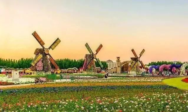 新模式|休閑農業30種發展模式匯總