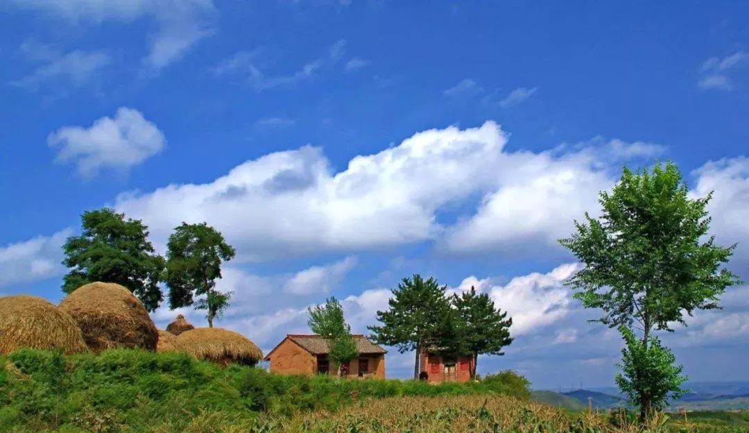 新商業|這才是田園綜合體！