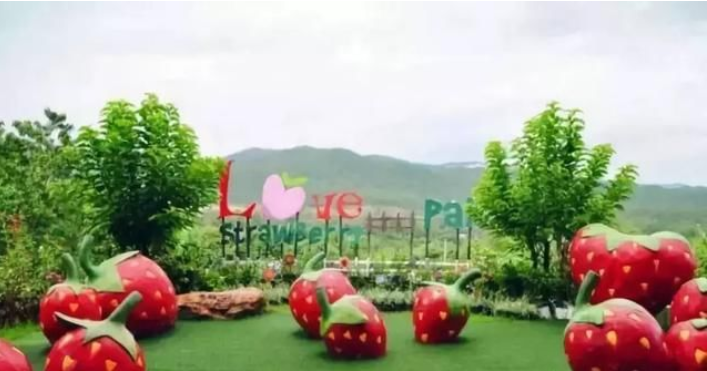 田園綜合體下的新農村：小鎮+農業+低空+生態+養生+文化 多元結合