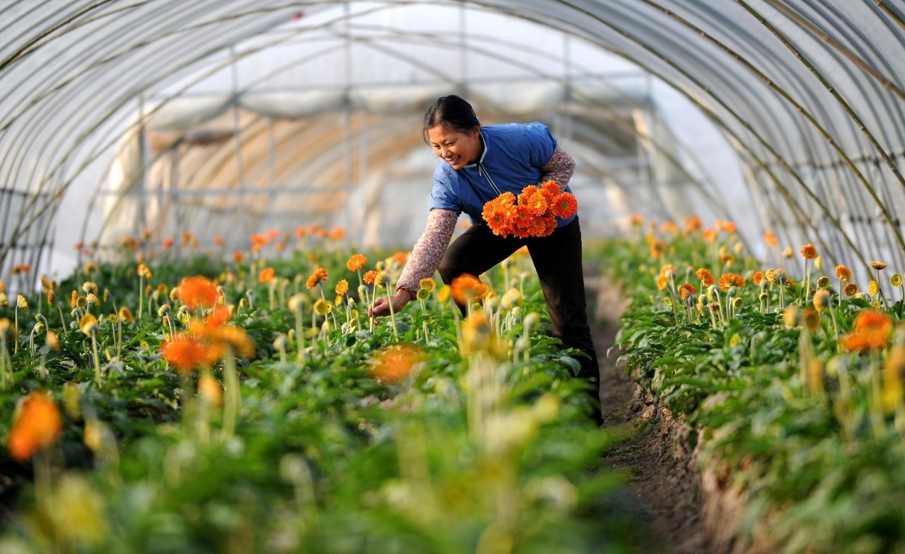 休閑農(nóng)業(yè)都在犯的10大錯誤，你中招了嗎？