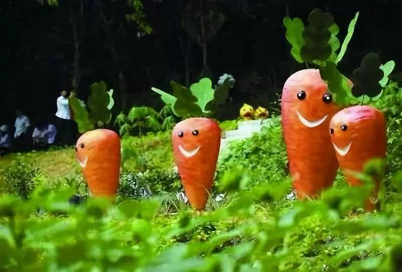 案例|臺灣農(nóng)民的收入是我們的25倍，秘訣只有兩個字