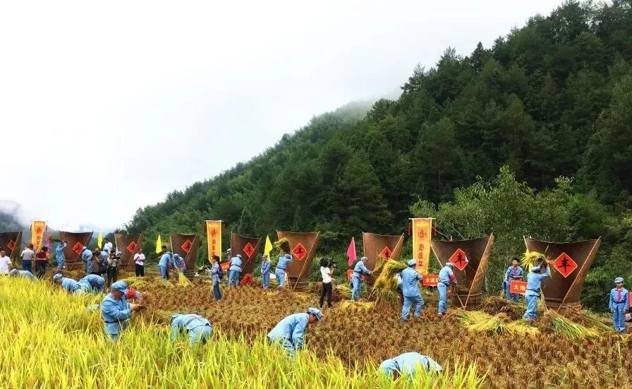 想做休閑農(nóng)業(yè)和鄉(xiāng)村旅游，建議看這篇文章！