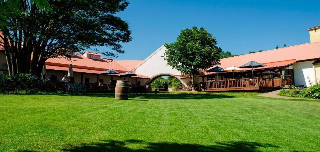 新模式|日本農(nóng)業(yè)為什么是“第六產(chǎn)業(yè)”？