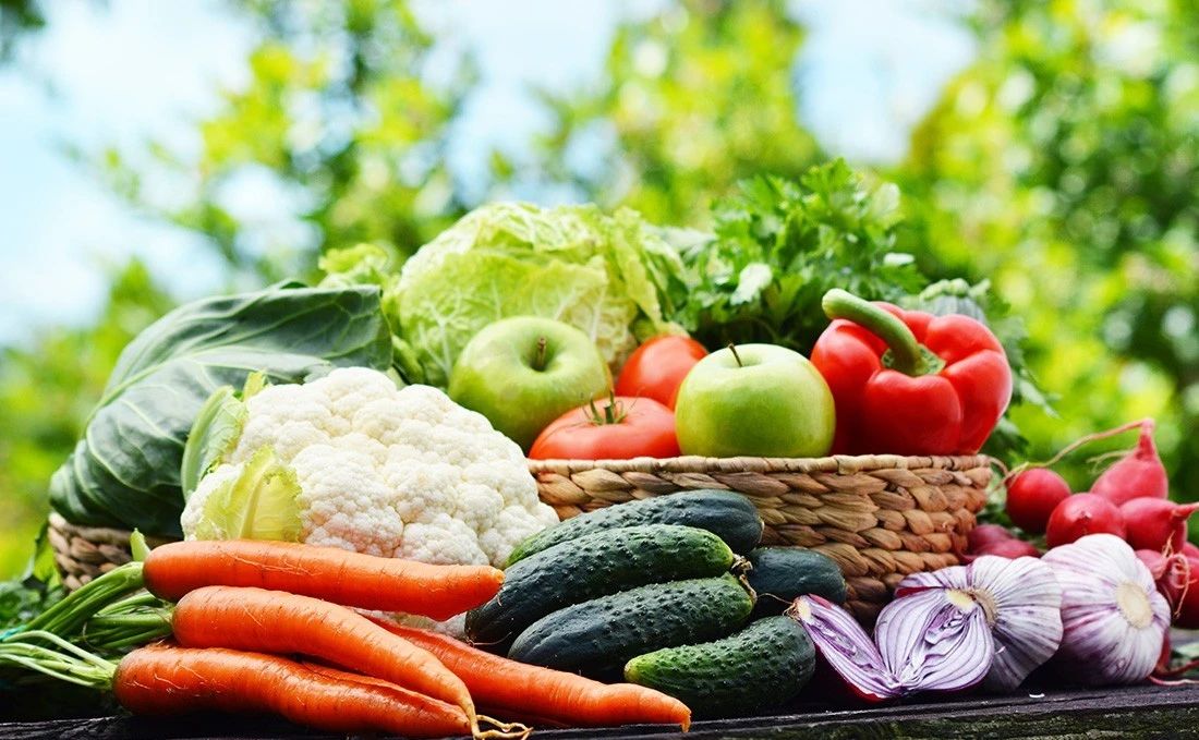 三農日報|蔬菜規模經營主體用工或有補貼；數據：荷蘭80%農民使用精準農業