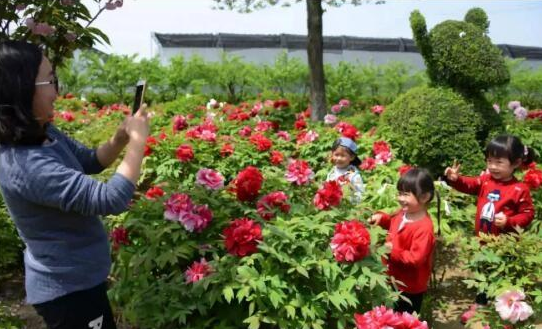 休閑農業失敗案例解析，除了錢，休閑農業還需要什么？