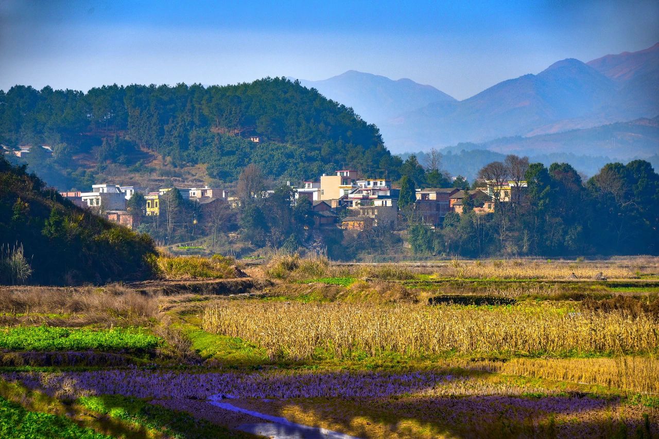 【政策】休閑農業、鄉村旅游停業，農業農村部：將推動信貸擔保等政策落實