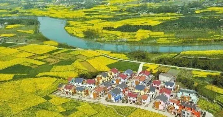 【案例剖析】這才是真正的田園綜合體！