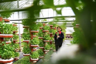 三農日報|我國將加快農業人工智能研發應用；鄉村旅游成農村融合發展樣板