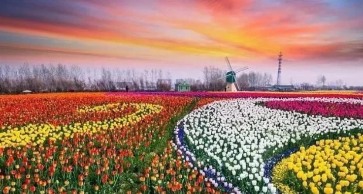 農業休閑旅游規劃六要素