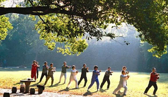 旅游+農業+康養如何進行特色創意？