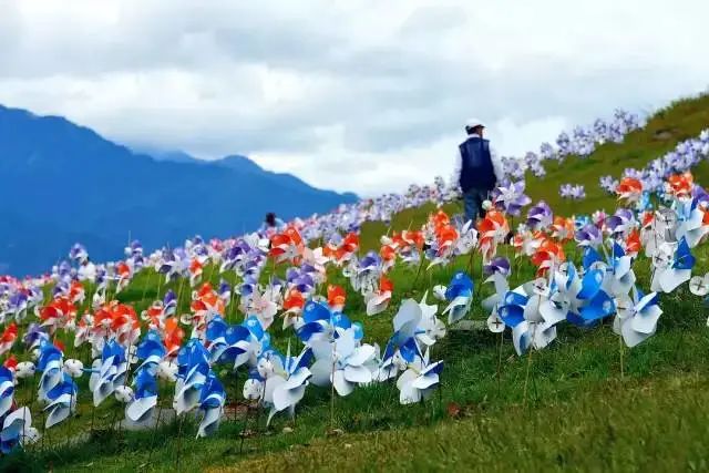 【案例】臺灣休閑農業憑什么能“以小取勝”？秘訣就在這幾點...