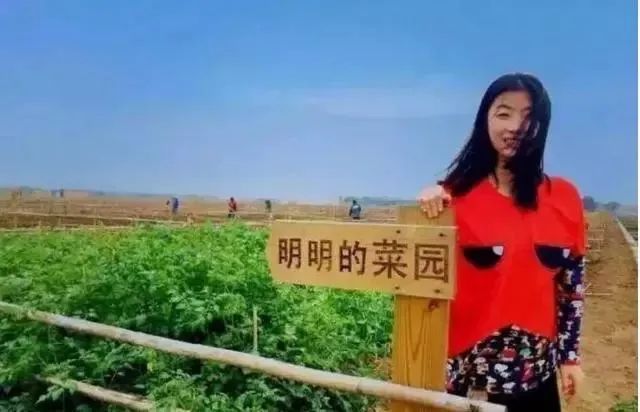 重磅雄文|中國農業顛覆已經發生，應該站在時代并思考著未來