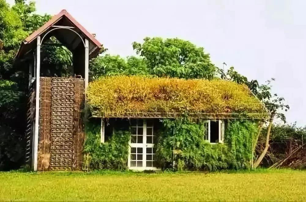 【案例】48畝的休閑農場，創造上千畝的收入！這種精致做法，值得借鑒！