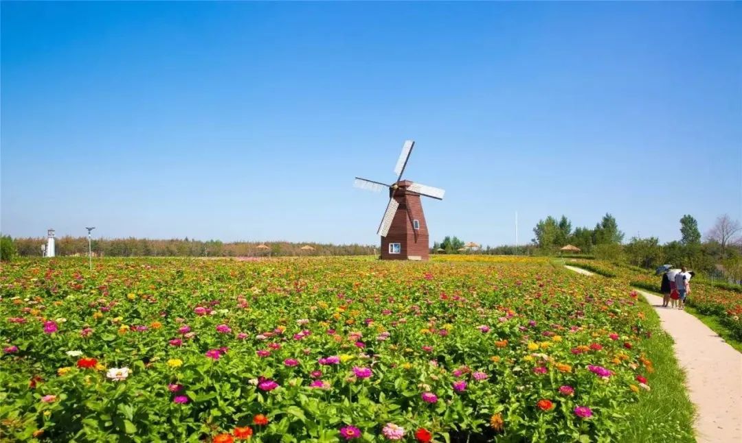 臺灣休閑農業的20個法則