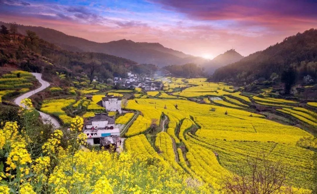 【產業深度】2020年國家將大力發展田園綜合體！