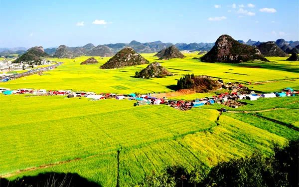 【案例】10萬億農旅怎么搶占？學習臺灣農業節慶吸金大法！